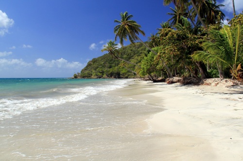 One of the many pristine beaches on the island