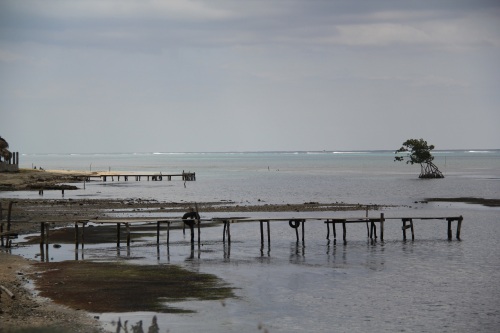 Fishing docks in Punta Gorda
